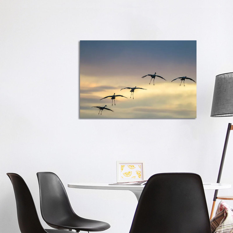 USA, New Mexico, Bosque Del Apache National Wildlife Refuge. Sandhill Cranes Landing At Sunset. by Jaynes Gallery - Wrapped Canvas Gallery-Wrapped Canvas Giclée