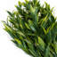75 cm H Faux Plant-127681125
