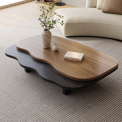 Table basse moderne avec plateau bicolore