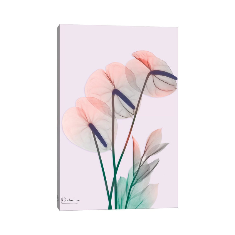 Flamingo Delight III by Albert Koetsier - Wrapped Canvas Print, 20.32 cm H x 30.48 cm W