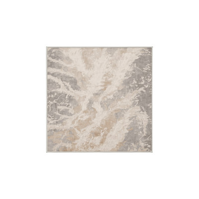 Machine Washable Beige Area Rug