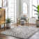 Shelanda Sterling Grey Machine Washable Area Rug