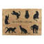 Non-Slip Indoor Doormat