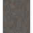 Black/Copper