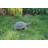 Turtle Statue