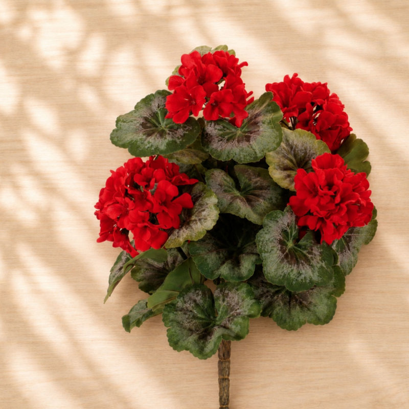Geranium buisson floral (ensemble de 2)