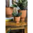 Gerrie Handmade Ceramic Pot Planter-73058650