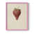 Rose est en rupture de stock