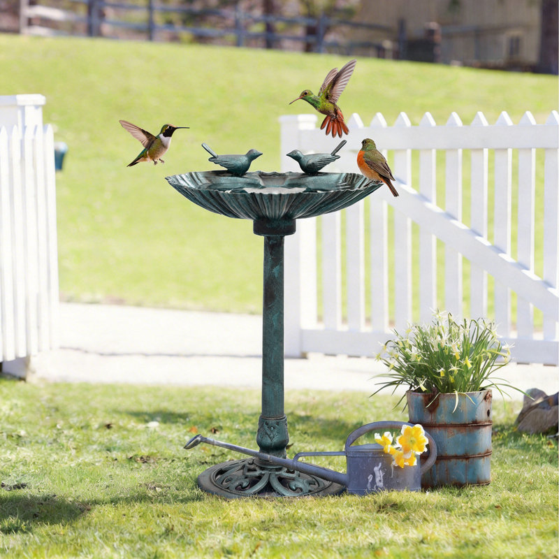 Bain d'oiseaux à piédestal pour l'extérieur Conola, Vert