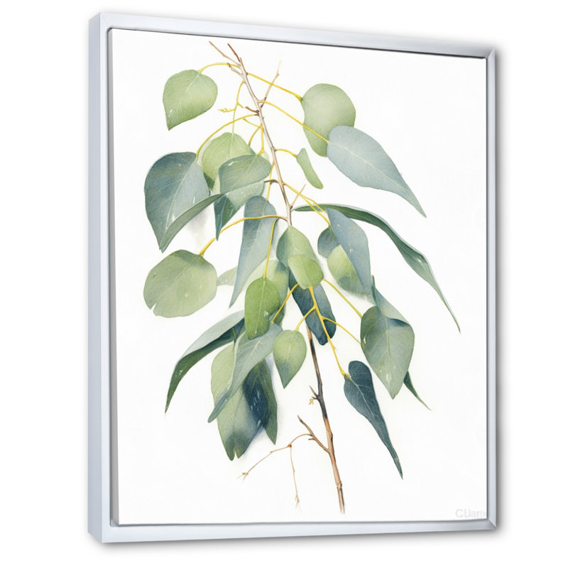 Vert, blanc, minimalisme, eucalyptus Essence I, H 40 po x l 30 po x P 1,5 po, Cadre flottant blanc