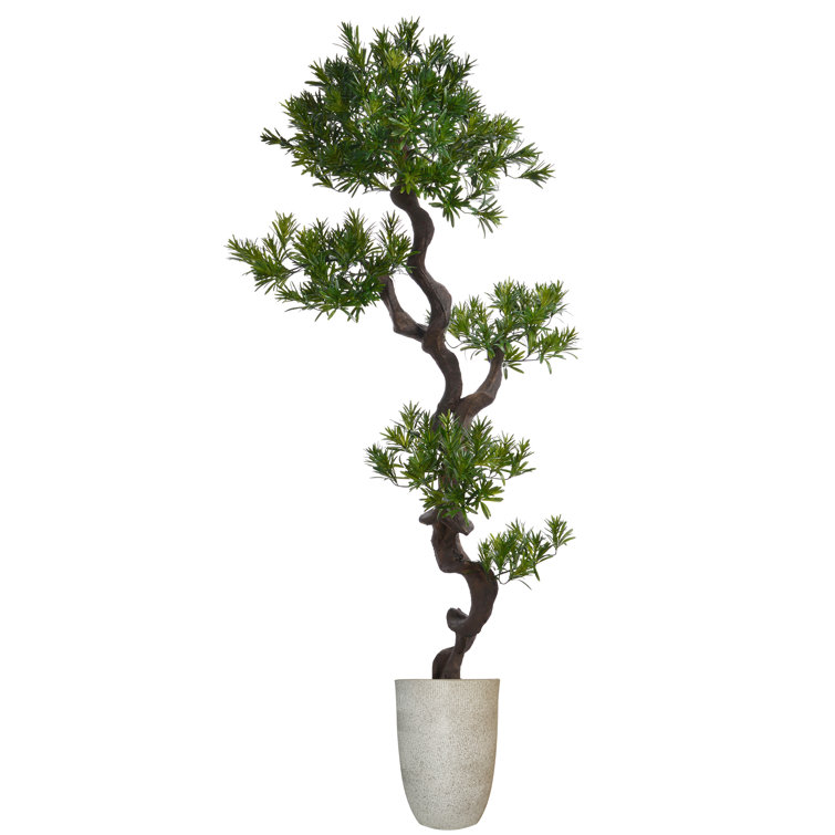72'' Faux Bonsai Tree in Fiberstone Planter