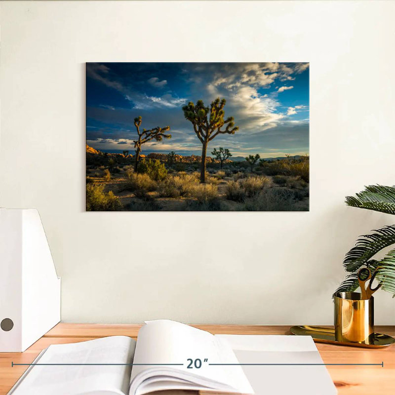 Paysage du parc national Ravi Joshua Tree, H 8 po x l 12 po