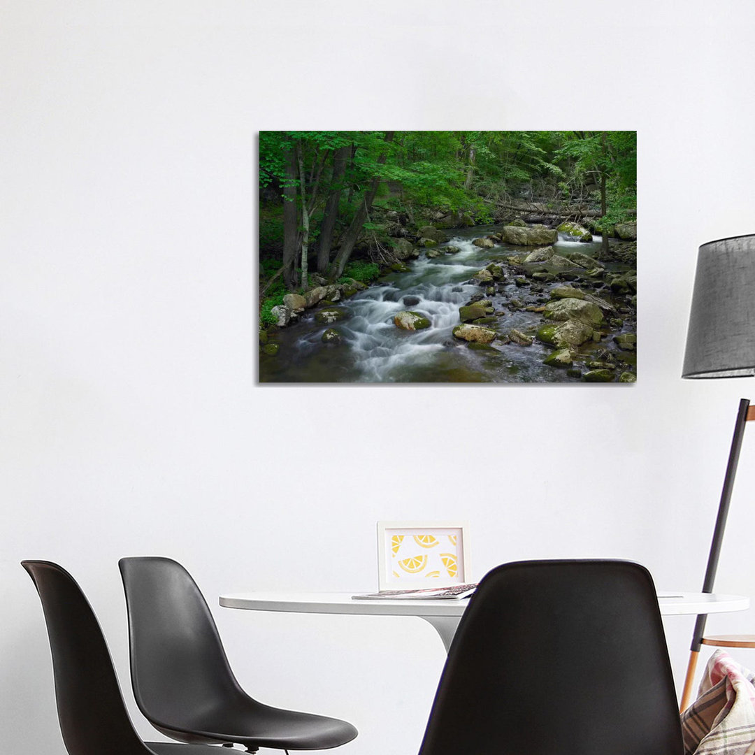 Little Stony Creek Flowing Through Jefferson National Forest, Virginia von Tim Fitzharris - Gallery-Wrapped Canvas Giclé...