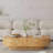 43" Modern Oval Coffee Table With Solid Wooden Veneer-419117347