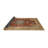 Oriental Indoor Rug-828799744