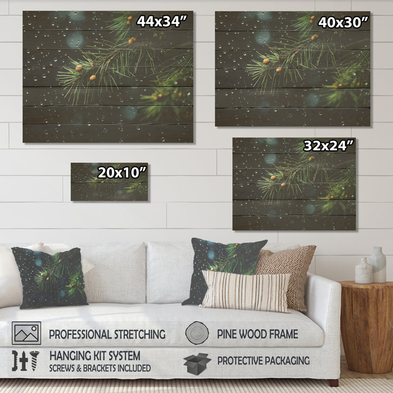 Spruce Pine Tree Forest I - Tree Pine On Wood Print, 10" H x 20" W x 0.78" D