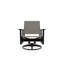 Wexler Outdoor Swivel Lounge Chair-1099678805-1102391103