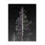 Œuvre sur toile, Cole Kent Flora-104142689