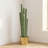4' Artificial Cactus in Gold Metal Pot