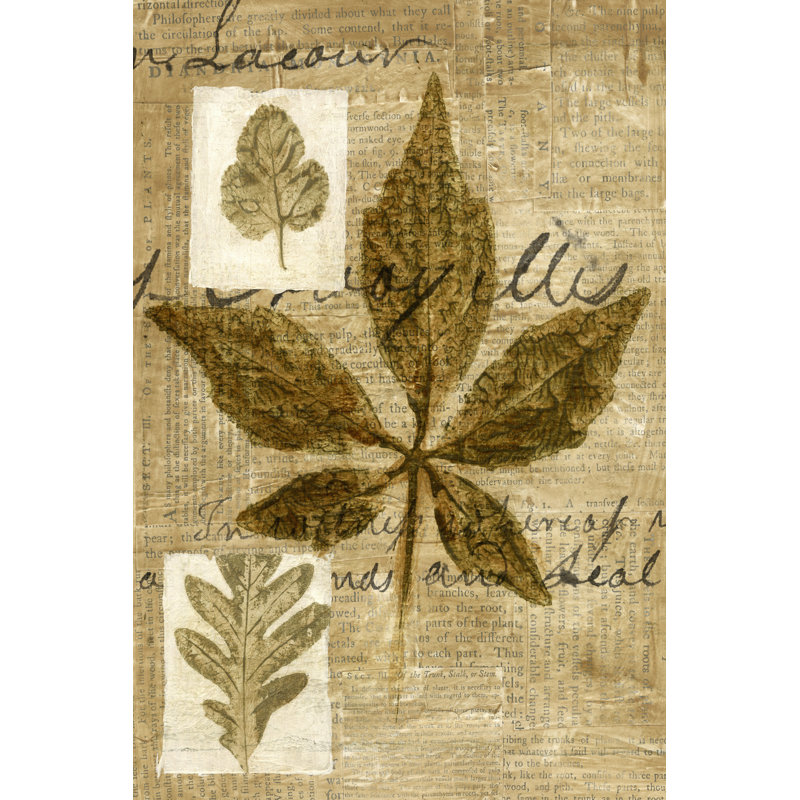 Leaf Collage III by Kate Archie - Wrapped Canvas Painting, 30cm H x 20cm W x 3.8cm D