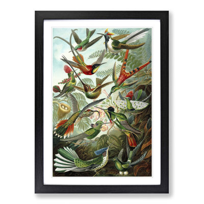 Single Picture Frame Print