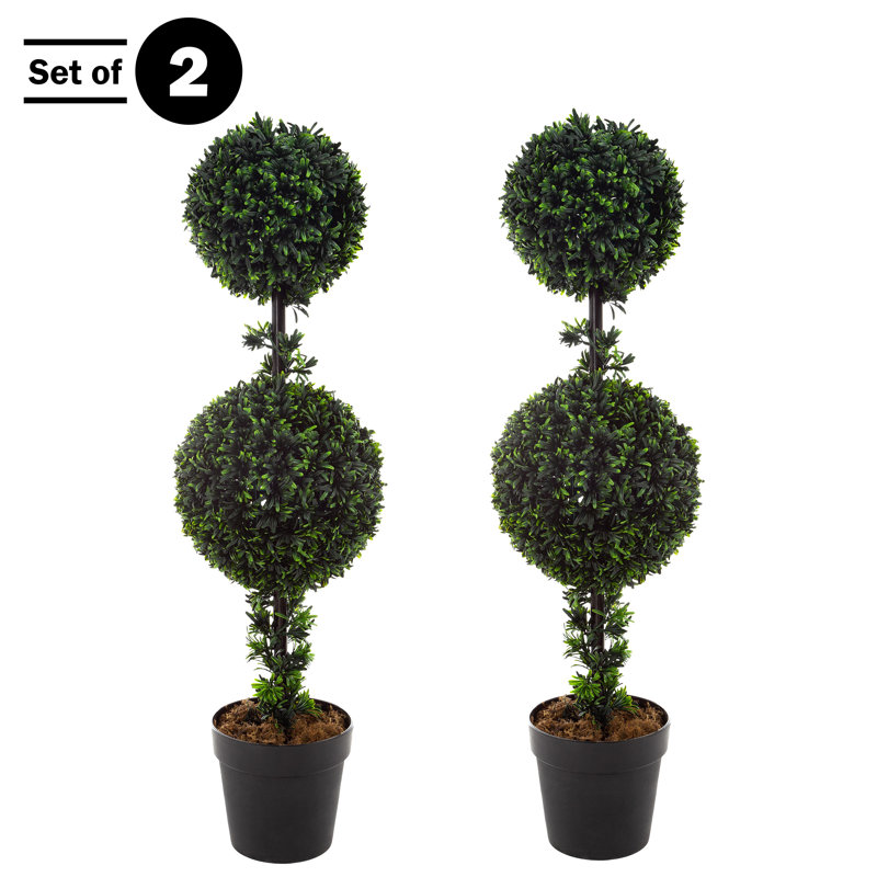 Primrue Set of Two 36-Inch Topiary Trees