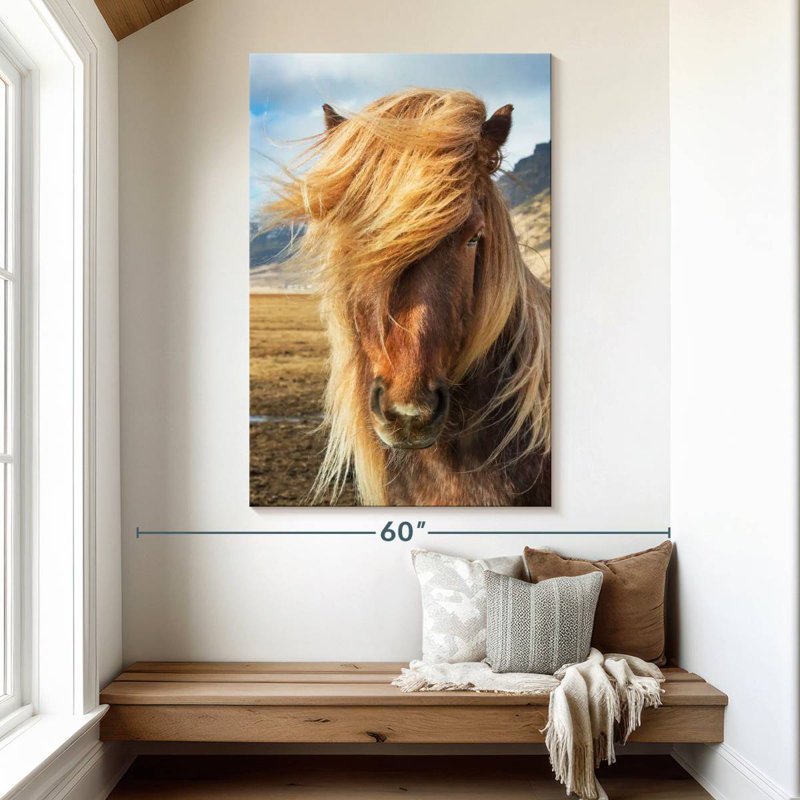 Brampt, chevaux islandais dans la campagne I, H 51 po x l 34 po