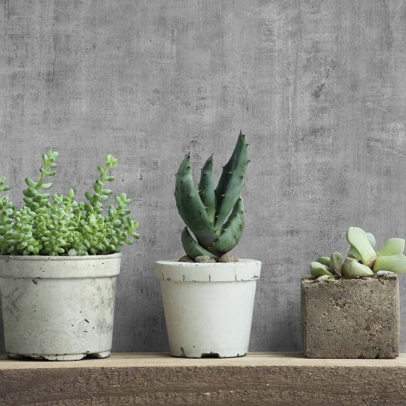 Ninti Industrial Effects Glass Stone Concrete Texture Wallpaper Roll 10.05m x 53cm, Grey