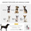 Collapsible Pet Carrier-981151250