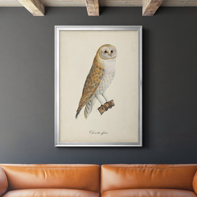 French Owls VI, reproduction encadrée sur papier