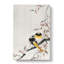 Two Sable Red Tails & Cherry Blossom by Ohara Koson - Wrapped Canvas-55372245