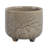 Ceramic Stoneware Planter With Raised Botanical Texture And Footed Base - Modern Decorative Garden Accent
