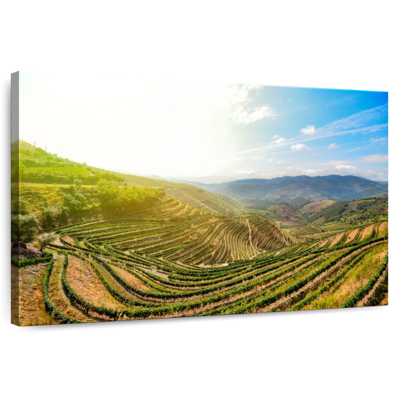 Alvord Douro Valley Morning
