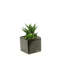 Faux Succulent in Ceramic Planter