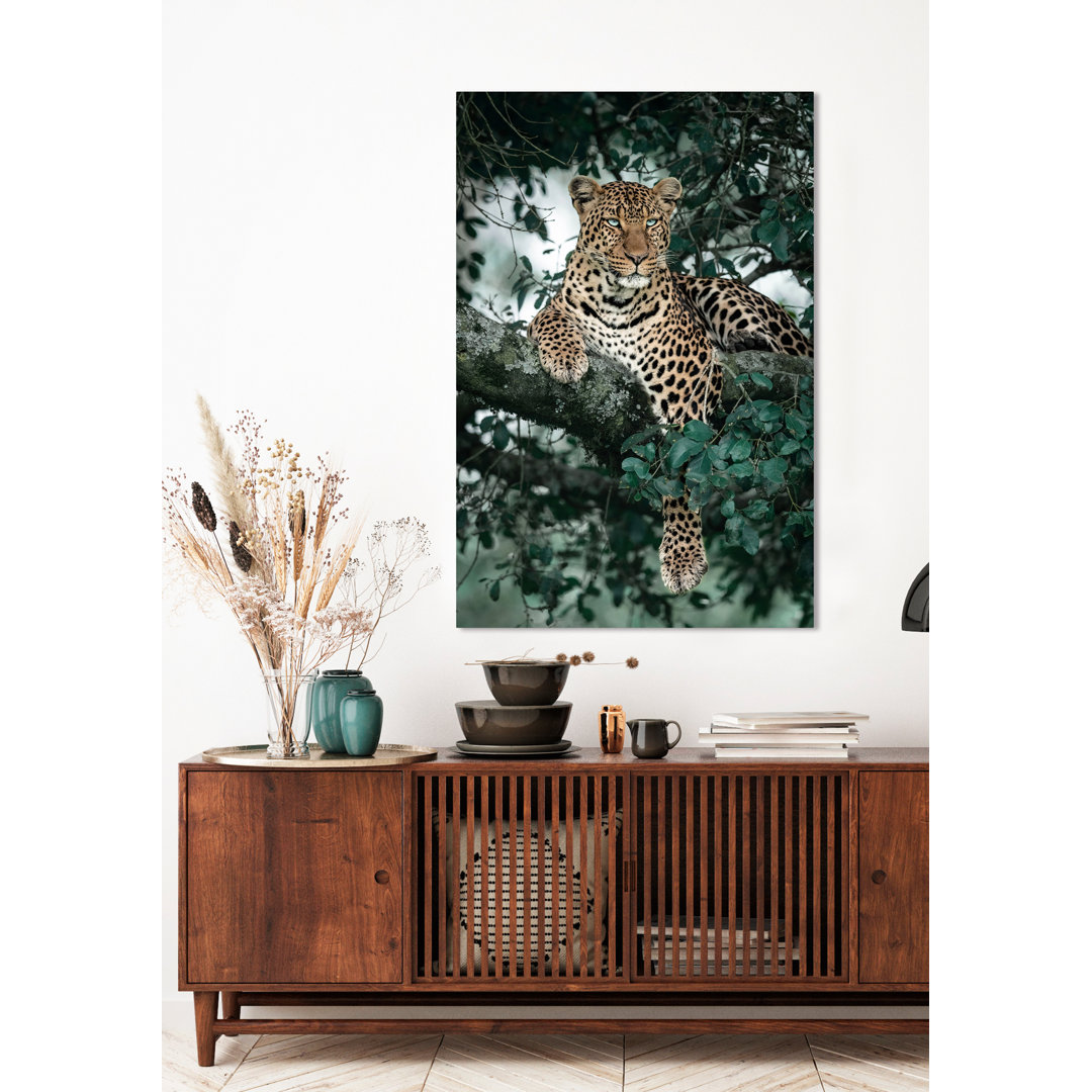 Glasbild Leopard im Baum