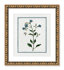 Gold Bead Framed