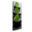 Wrapped Canvas Photograph