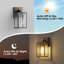 Lanterne murale d'extérieur 9,6 po Dusk To Dawn-732518465