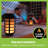 Bell + Howell Black Low Voltage Solar Powered Integrated LED Pathway Light Pack