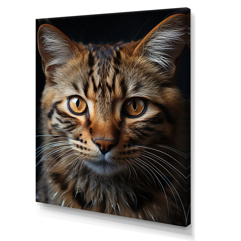 «Talal Animal Cat Selfie», reproduction sur toile, H 20 po x l 12 po x P 1 po, Toile tendue
