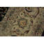 Tapis bleu / brun clair en laine noué à la main 9 pi 3 po x 12 pi Roca Oriental
