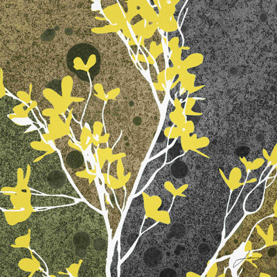 Fleurs de lune II