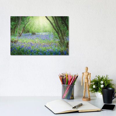 Sunlit Blue by David Gardiner - Wrapped Canvas Print