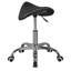 Saddle Stool, Practice Stool, Cosmetic Stool, Swivel Stool, Rolling Stool-25243742