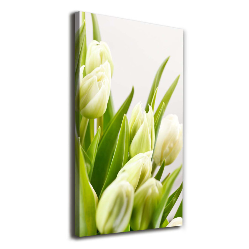 White Tulips - Wrapped Canvas Print