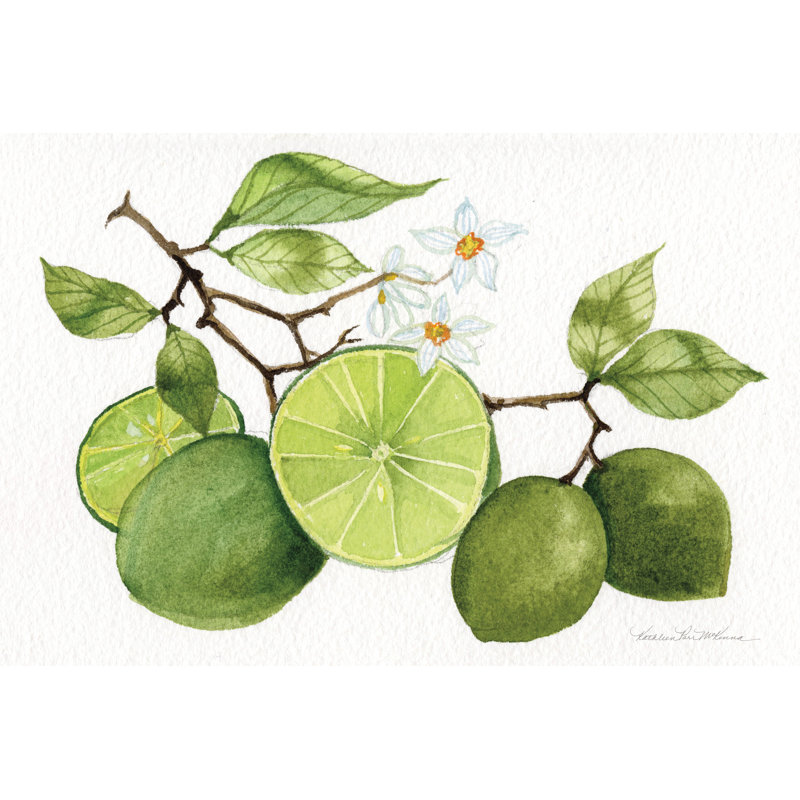 «Citrus Garden VII» par Kathleen Parr McKenna, reproduction d'art sur toile tendue, H 32 po x l 48 po