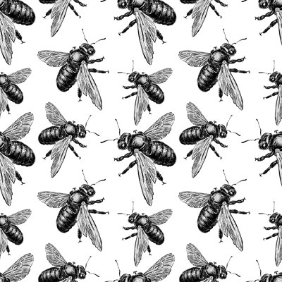 Watonga Bumblebees - Wrapped Canvas Print