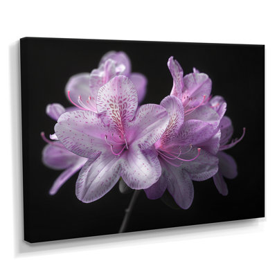 Ruchodendron mauve et noir soufflant vents - art mural rhododendron