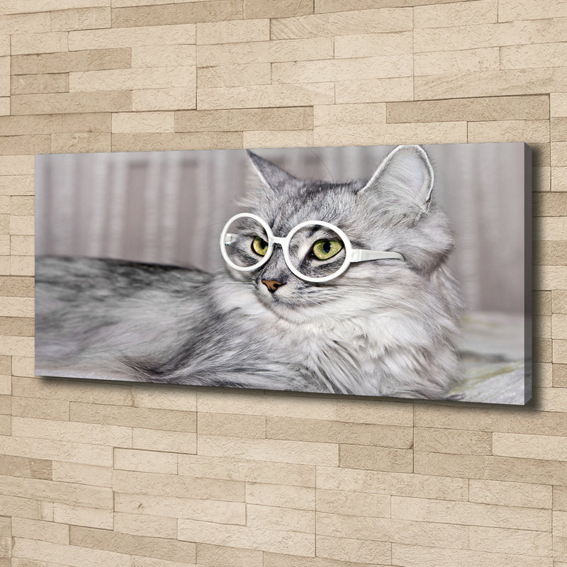 Cat With Glasses - Wrapped Canvas Print