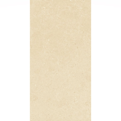 Artistic Freedom 12"X24" Porcelain Stone Look
